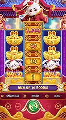 mc7777 · Fortune Rabbit